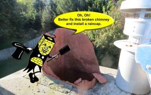 Critter Caper - Oh no, a broken chimney cap