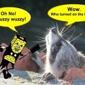 Critter Caper - A fuzzy wuzzy!