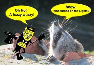 Critter Caper - A fuzzy wuzzy!
