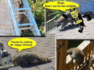 Critter Caper - Now I can fix the chimney