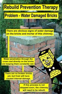 Problem - Water Damanged Bricks