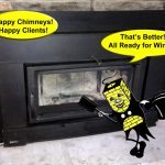 Wood Insert Cleaned by Mr Happy Chimney